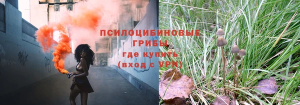 дмт Медвежьегорск