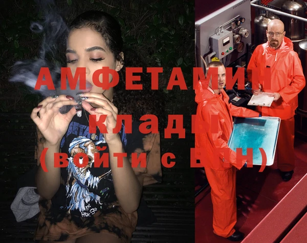 ПСИЛОЦИБИНОВЫЕ ГРИБЫ Магас