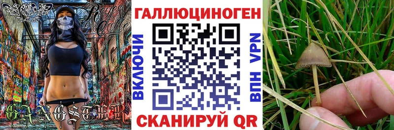Галлюциногенные грибы мицелий  МЕГА как зайти  Йошкар-Ола 
