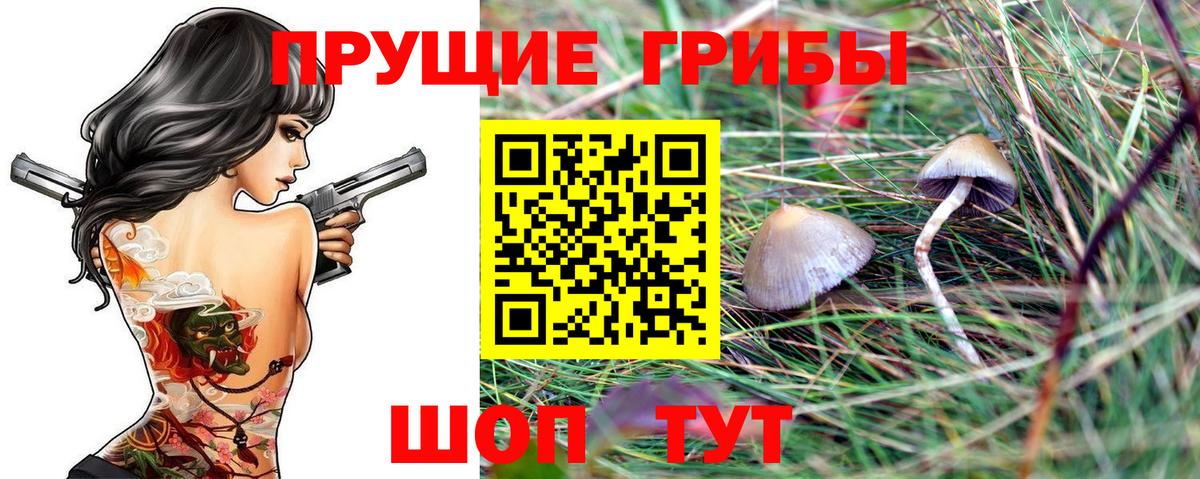 Йошкар-Ола  Галлюциногенные грибы Cubensis  Вход с VPN 